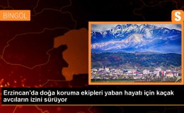 Erzincan’da Yaban Hayvanlarının Korunması İçin Çalışmalar Sürüyor